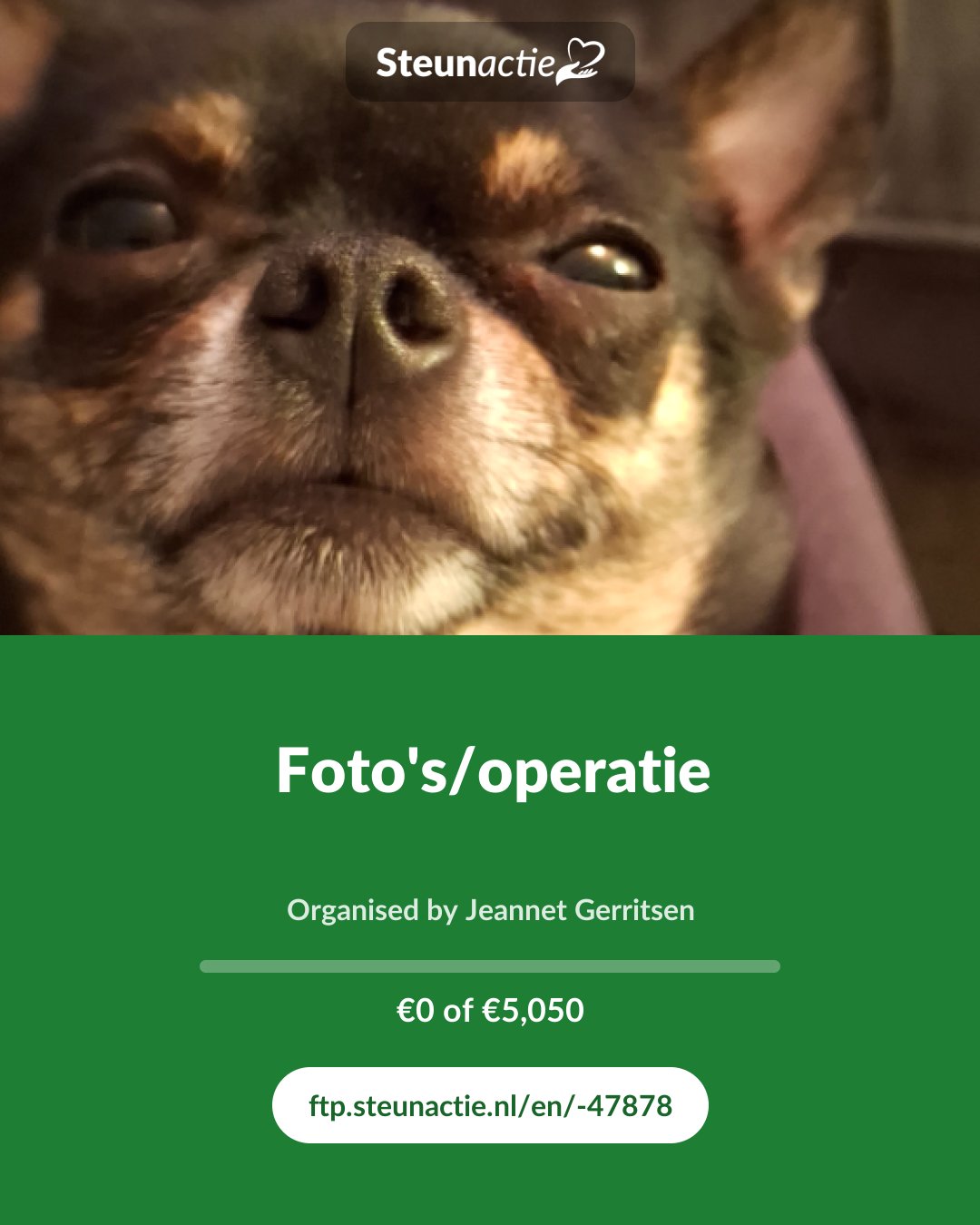 Preview of the image