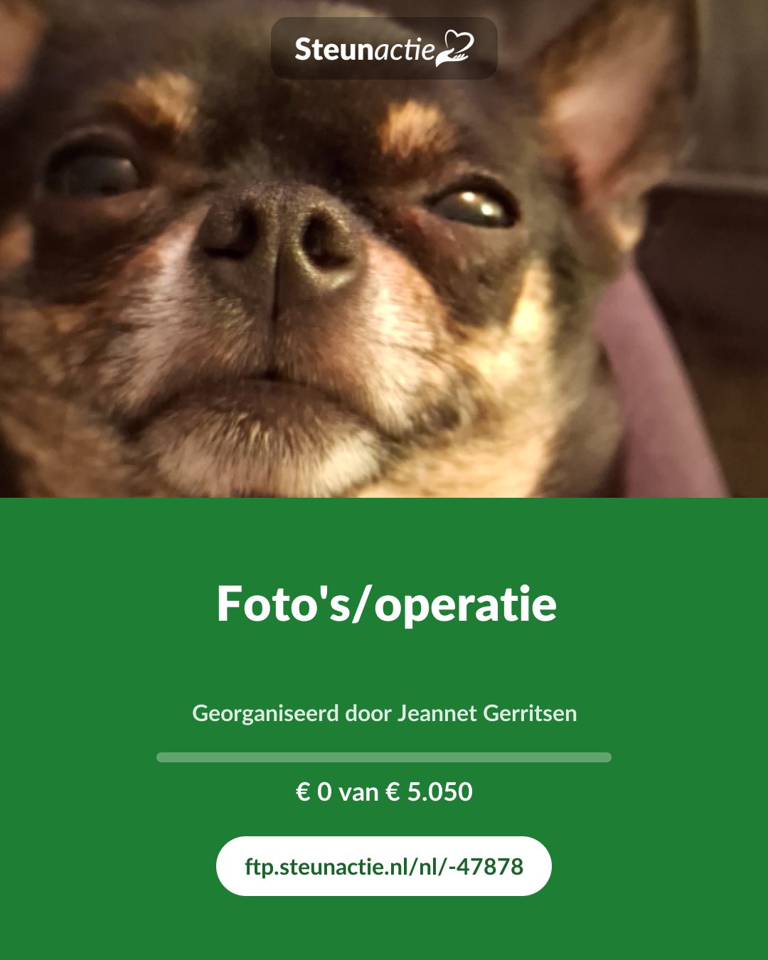 Voorbeeld van de afbeelding