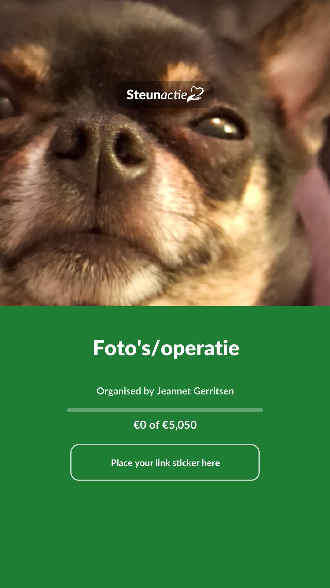 Preview of the image