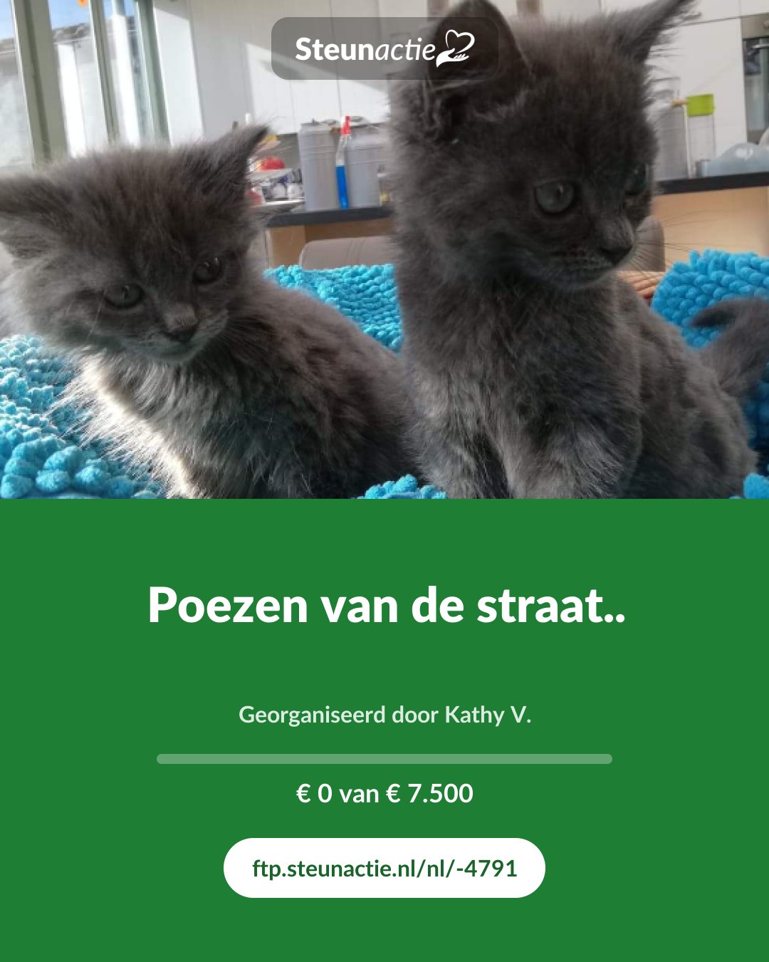 Voorbeeld van de afbeelding