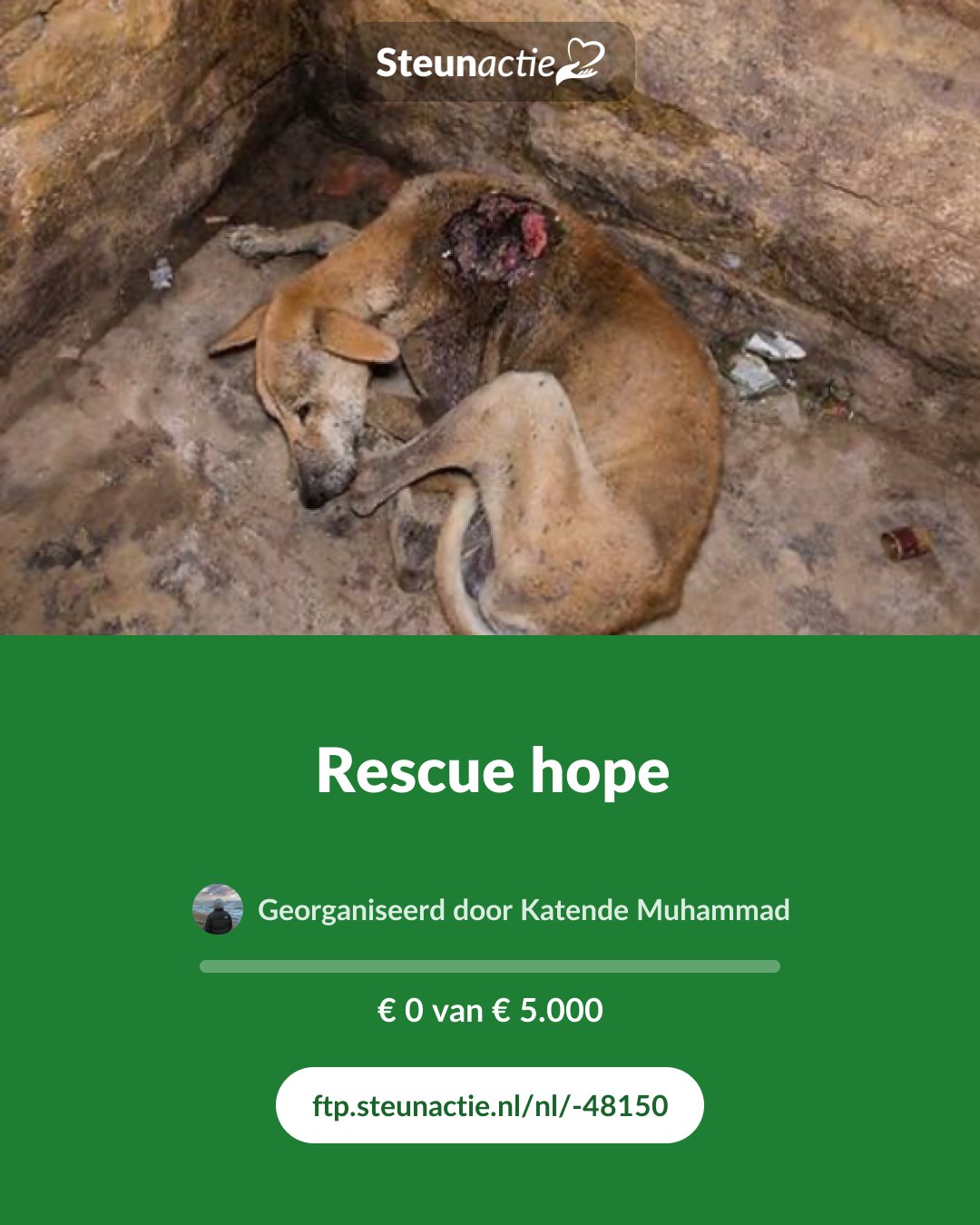 Voorbeeld van de afbeelding