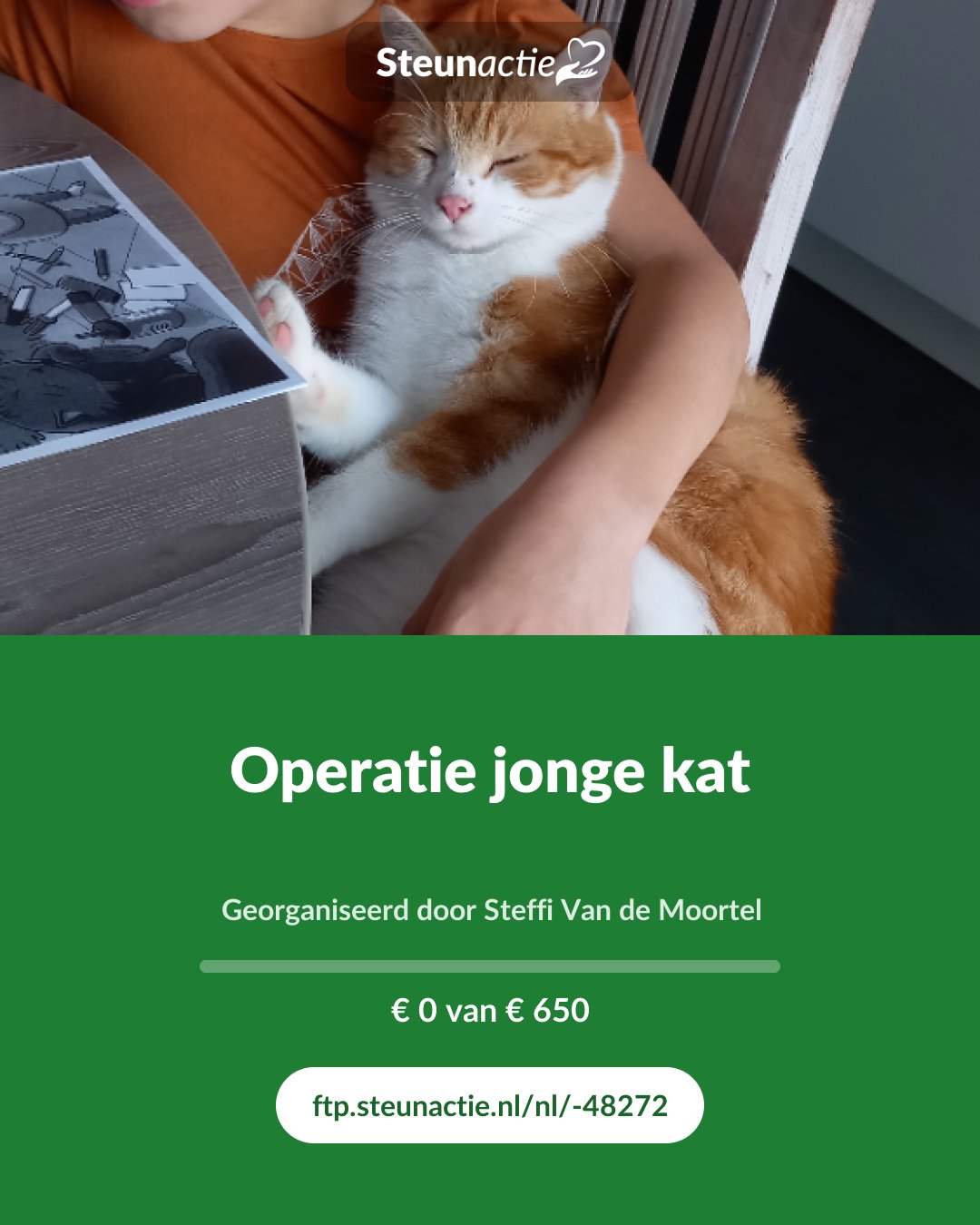 Voorbeeld van de afbeelding