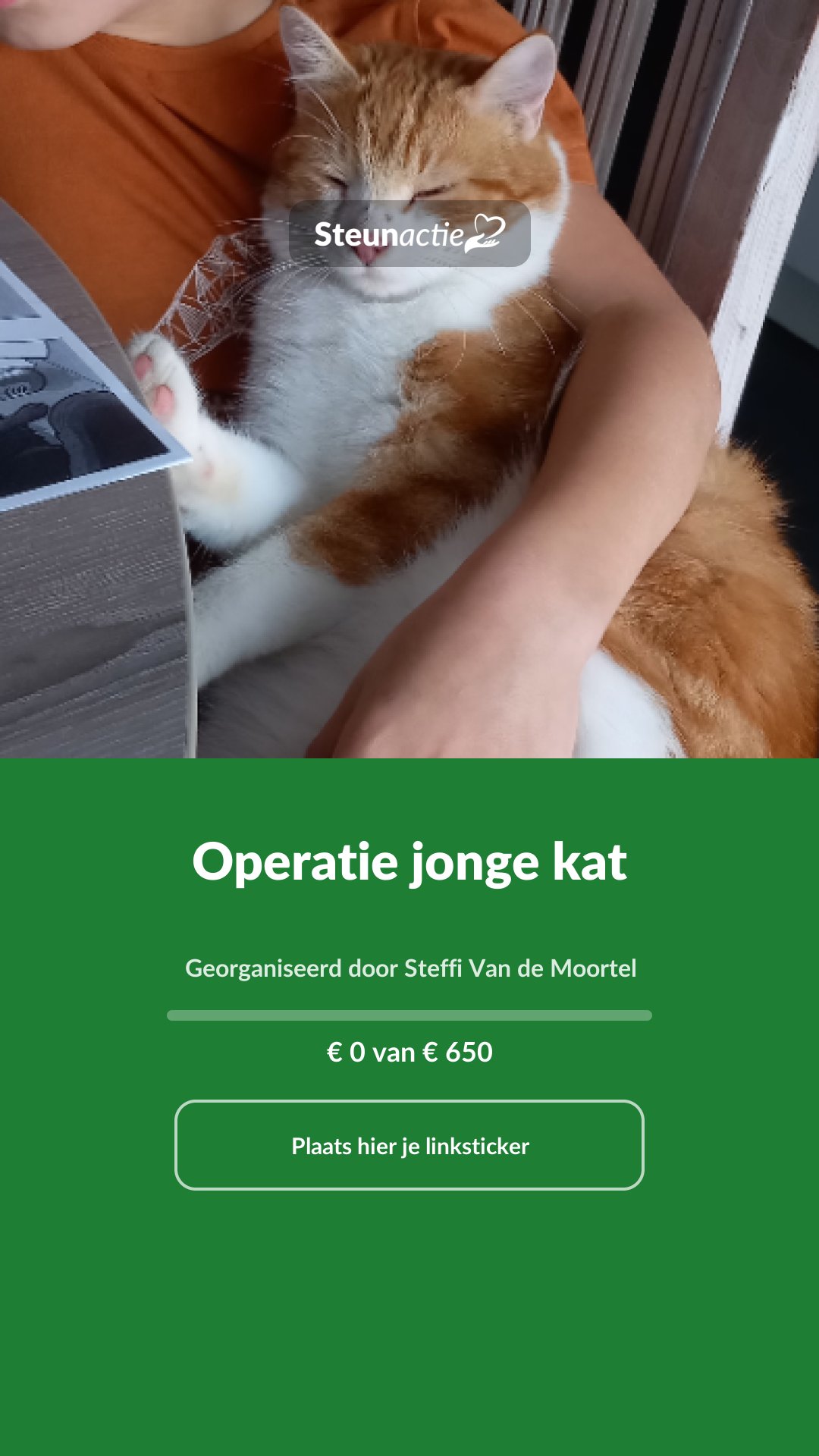 Voorbeeld van de afbeelding