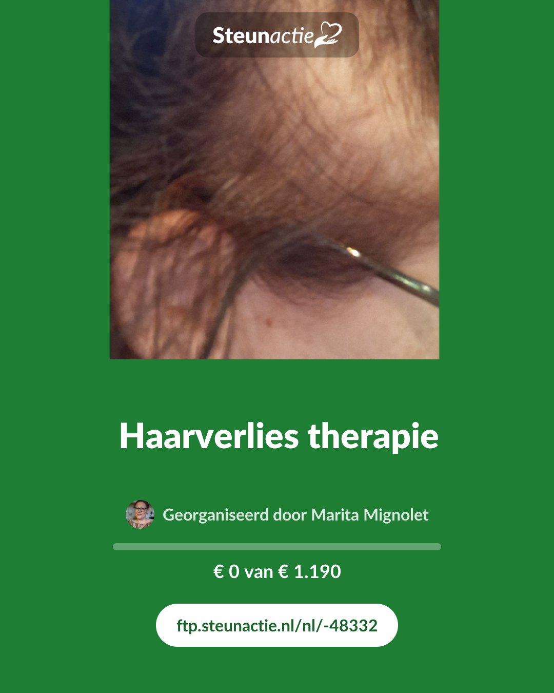 Voorbeeld van de afbeelding