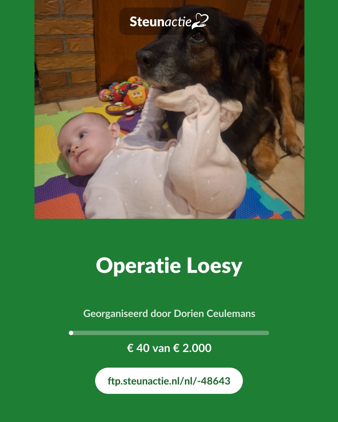 Voorbeeld van de afbeelding