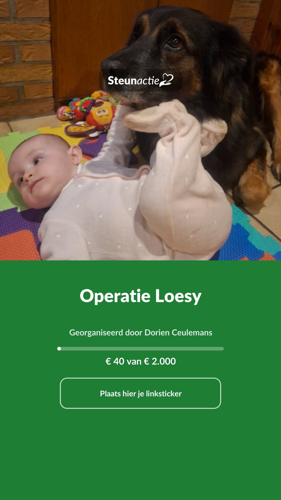 Voorbeeld van de afbeelding