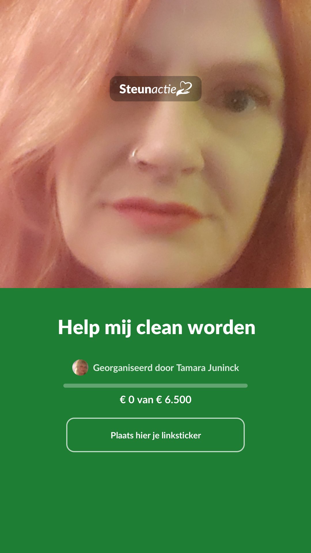 Voorbeeld van de afbeelding