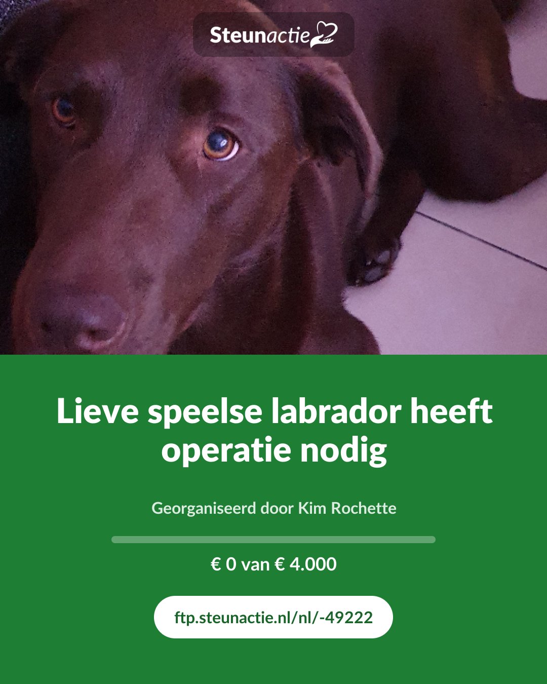 Voorbeeld van de afbeelding