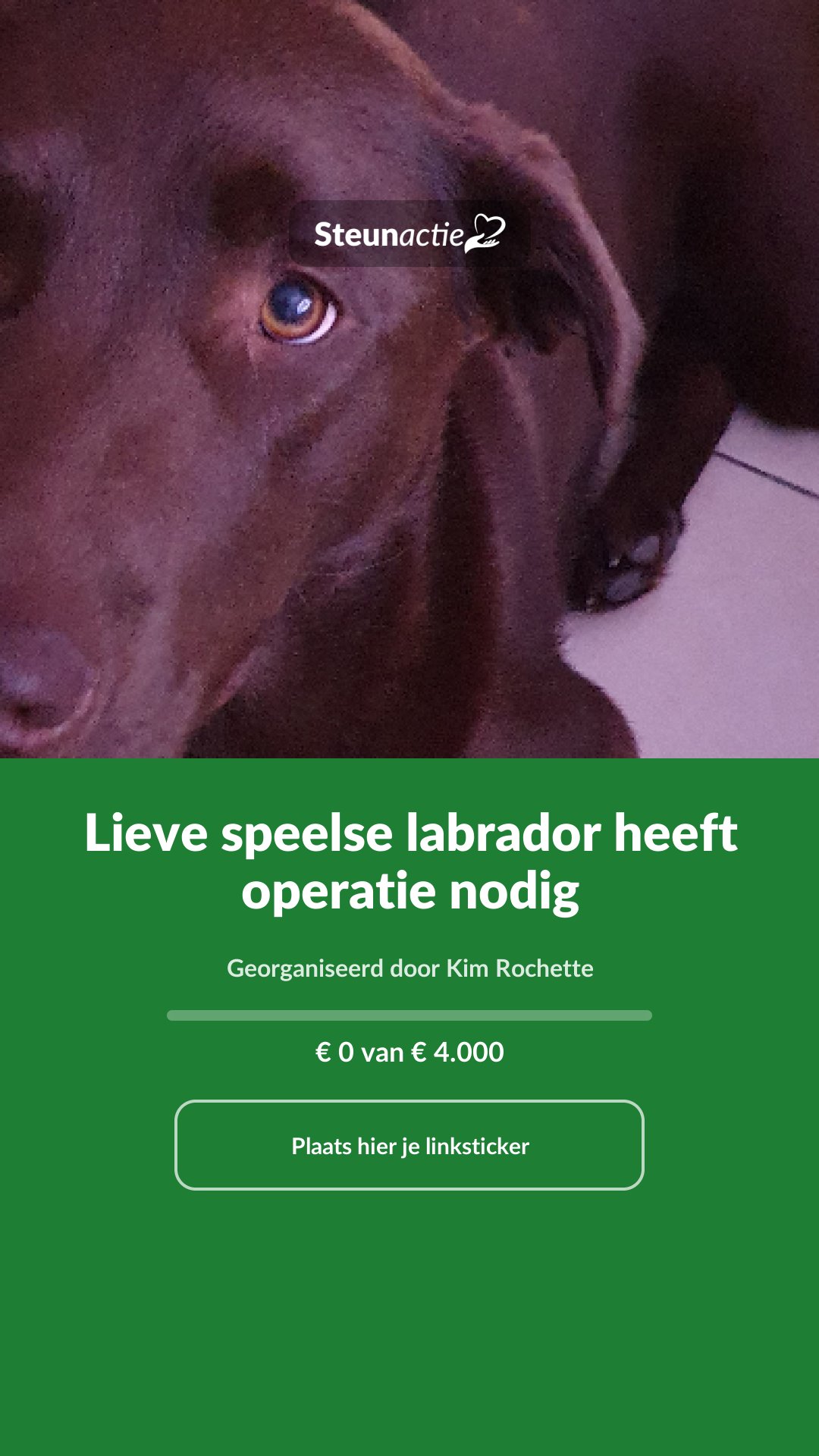 Voorbeeld van de afbeelding