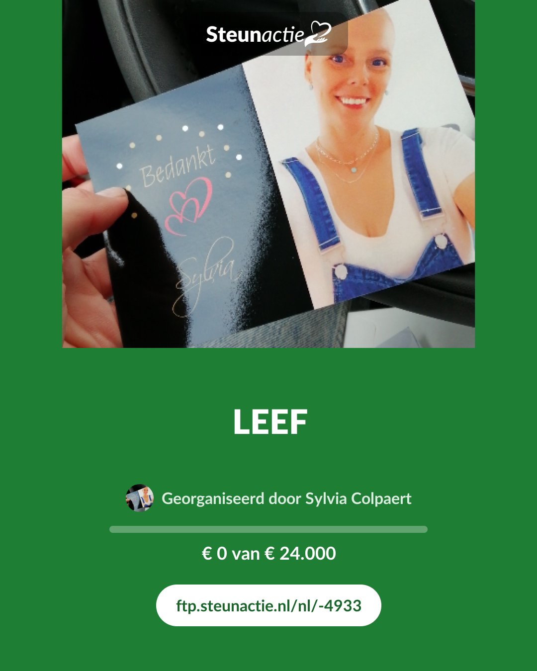 Voorbeeld van de afbeelding