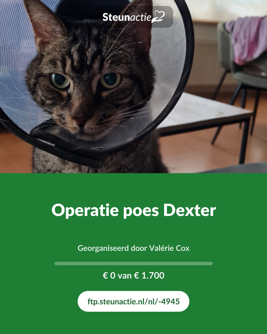 Voorbeeld van de afbeelding