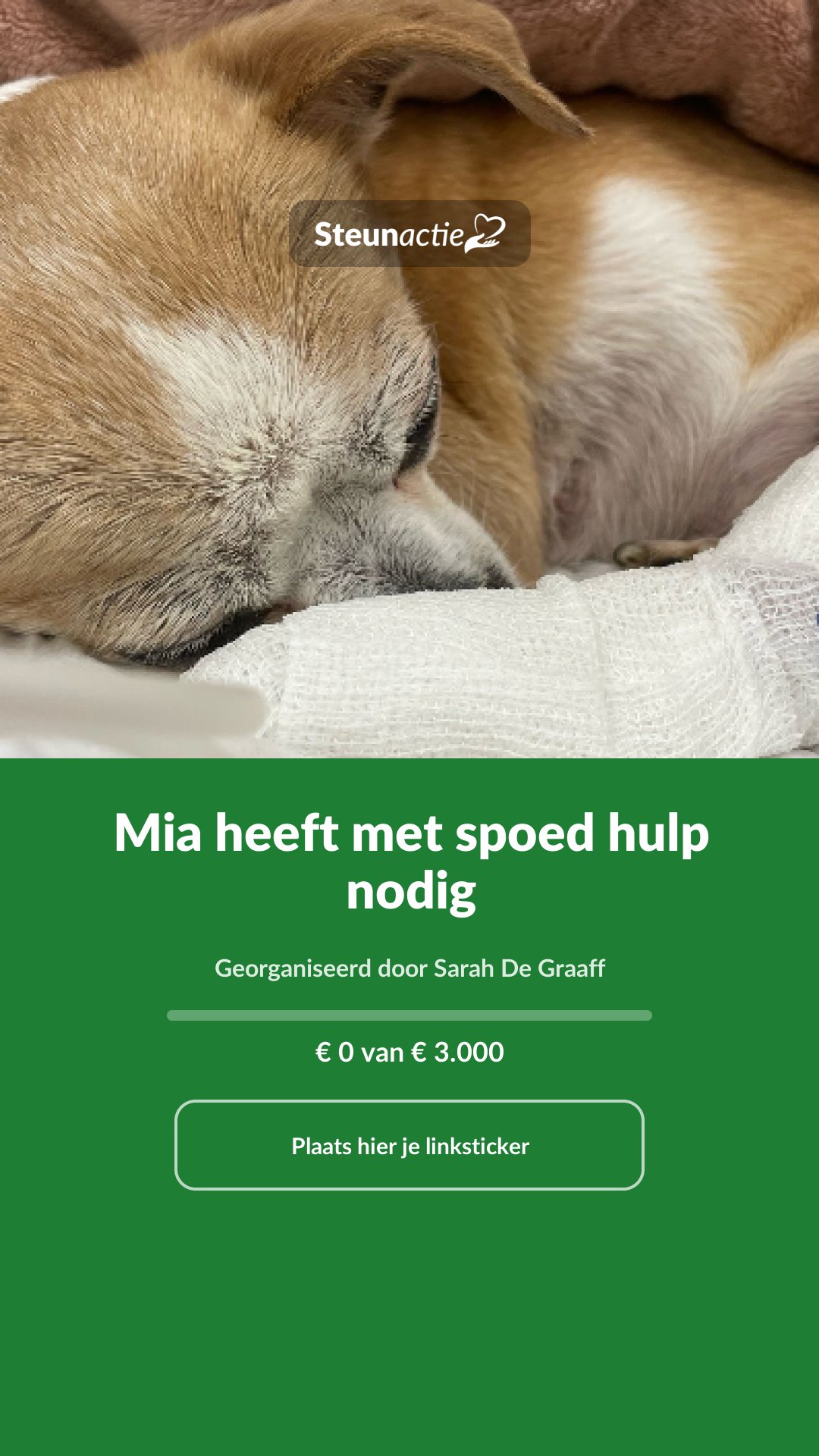 Voorbeeld van de afbeelding