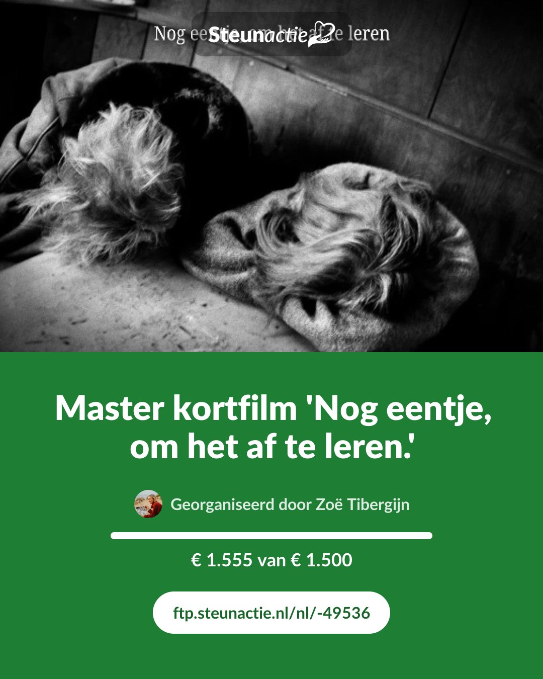 Voorbeeld van de afbeelding