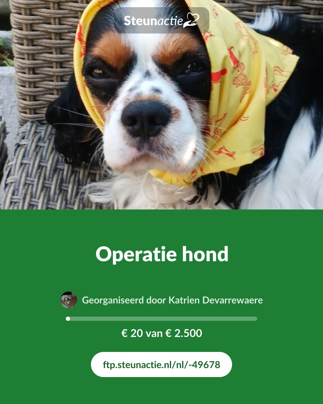 Voorbeeld van de afbeelding