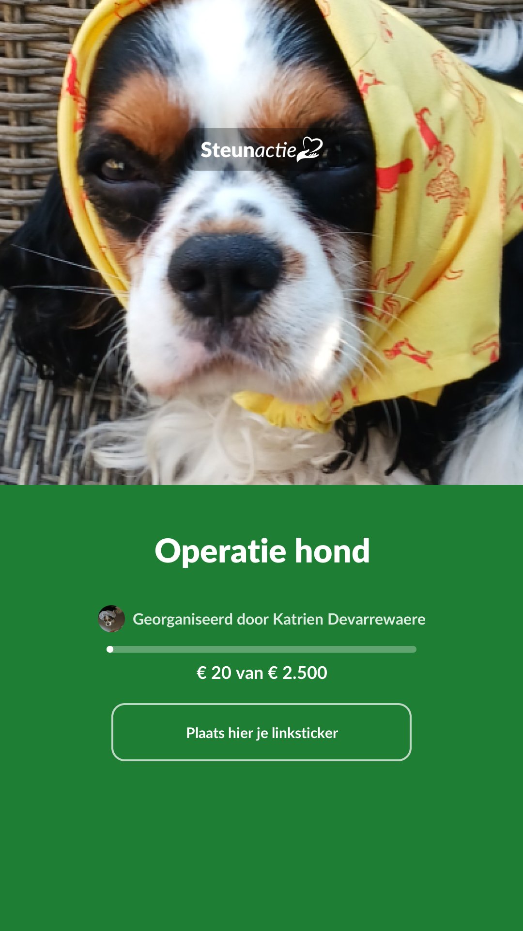 Voorbeeld van de afbeelding
