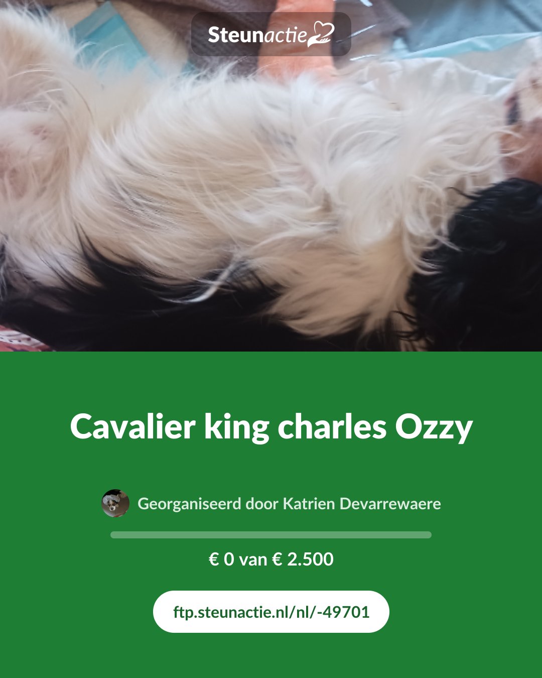 Voorbeeld van de afbeelding