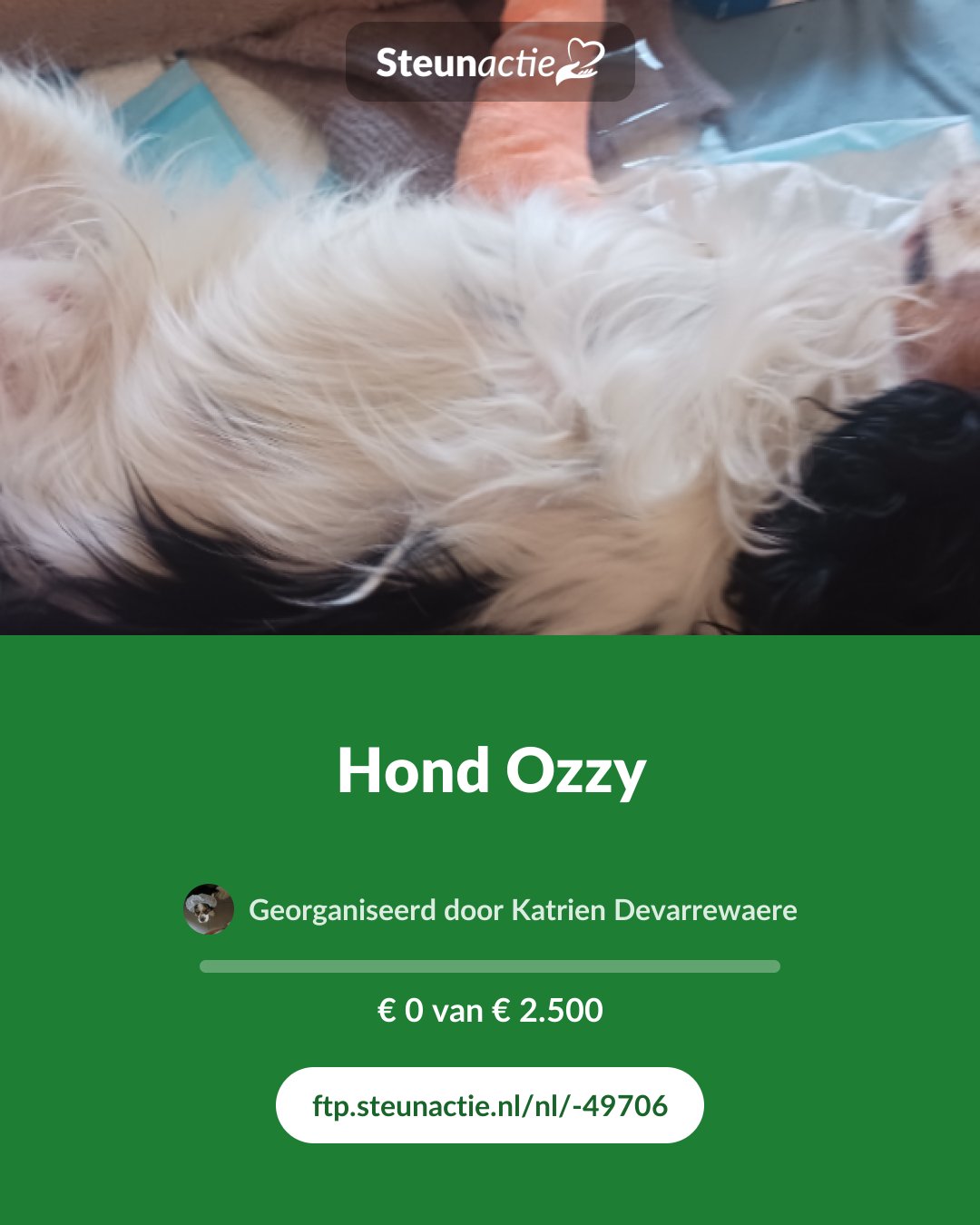 Voorbeeld van de afbeelding