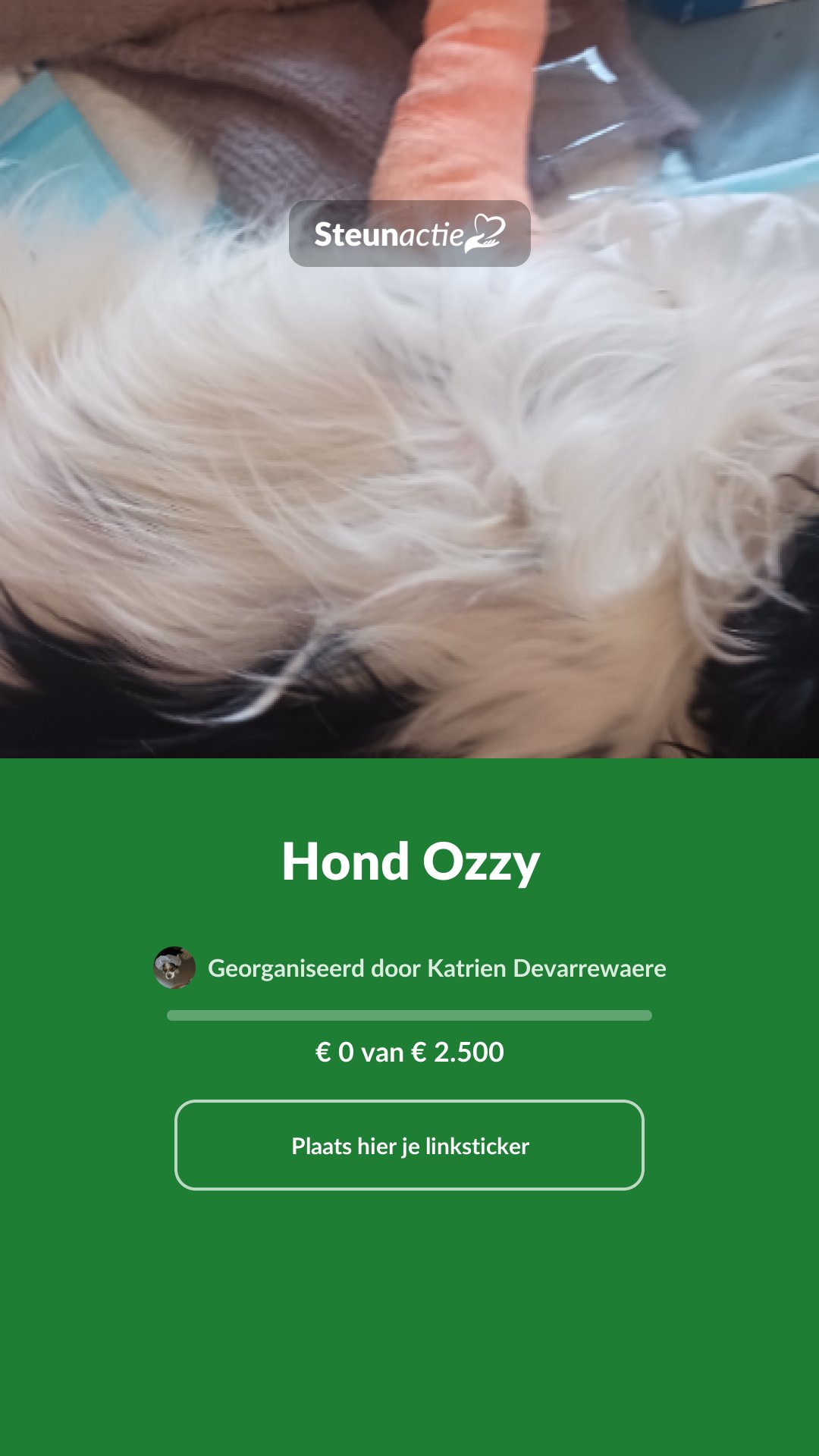 Voorbeeld van de afbeelding