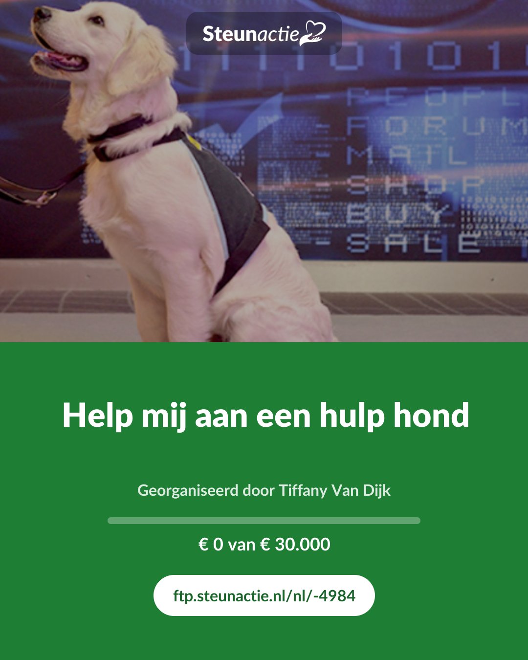 Voorbeeld van de afbeelding