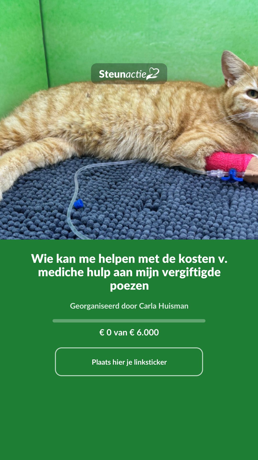 Voorbeeld van de afbeelding