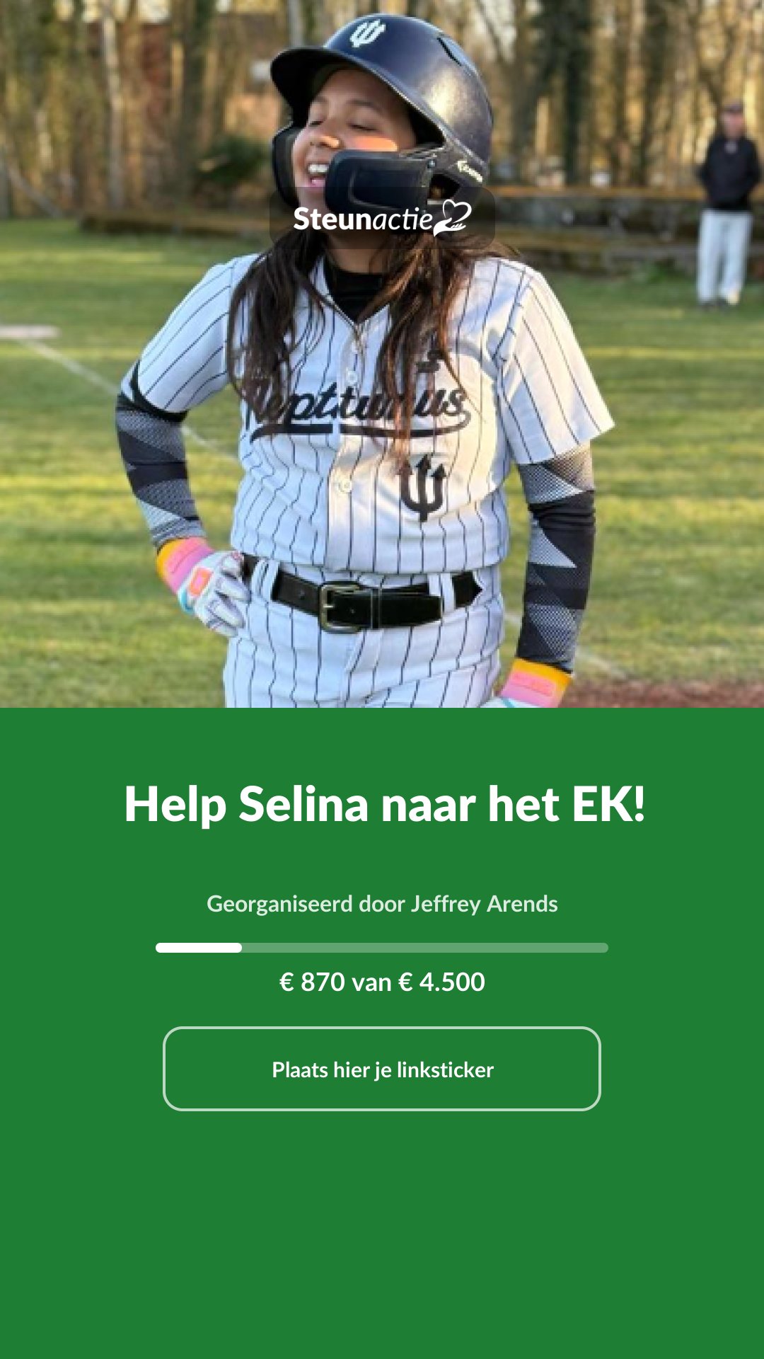 Voorbeeld van de afbeelding