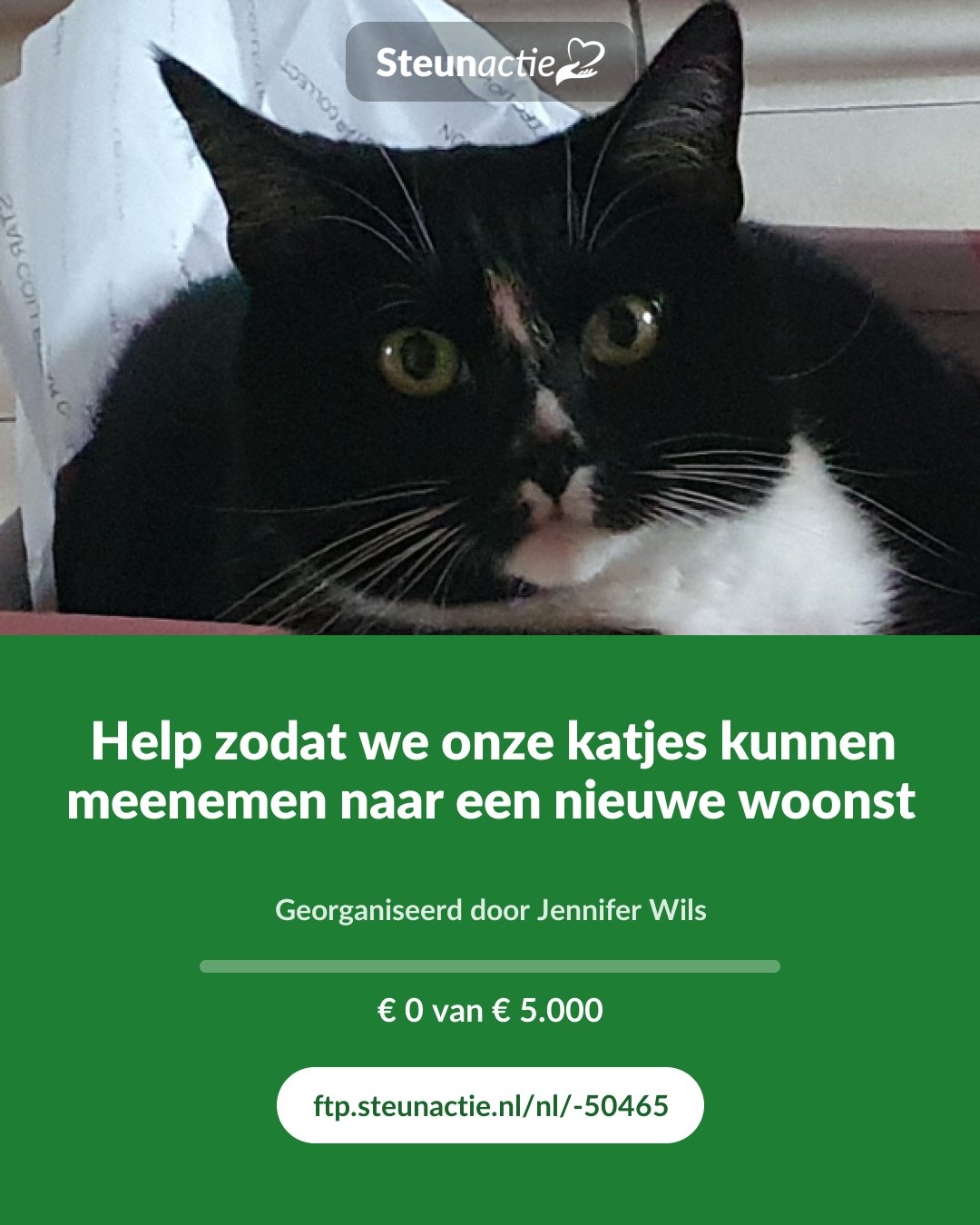 Voorbeeld van de afbeelding