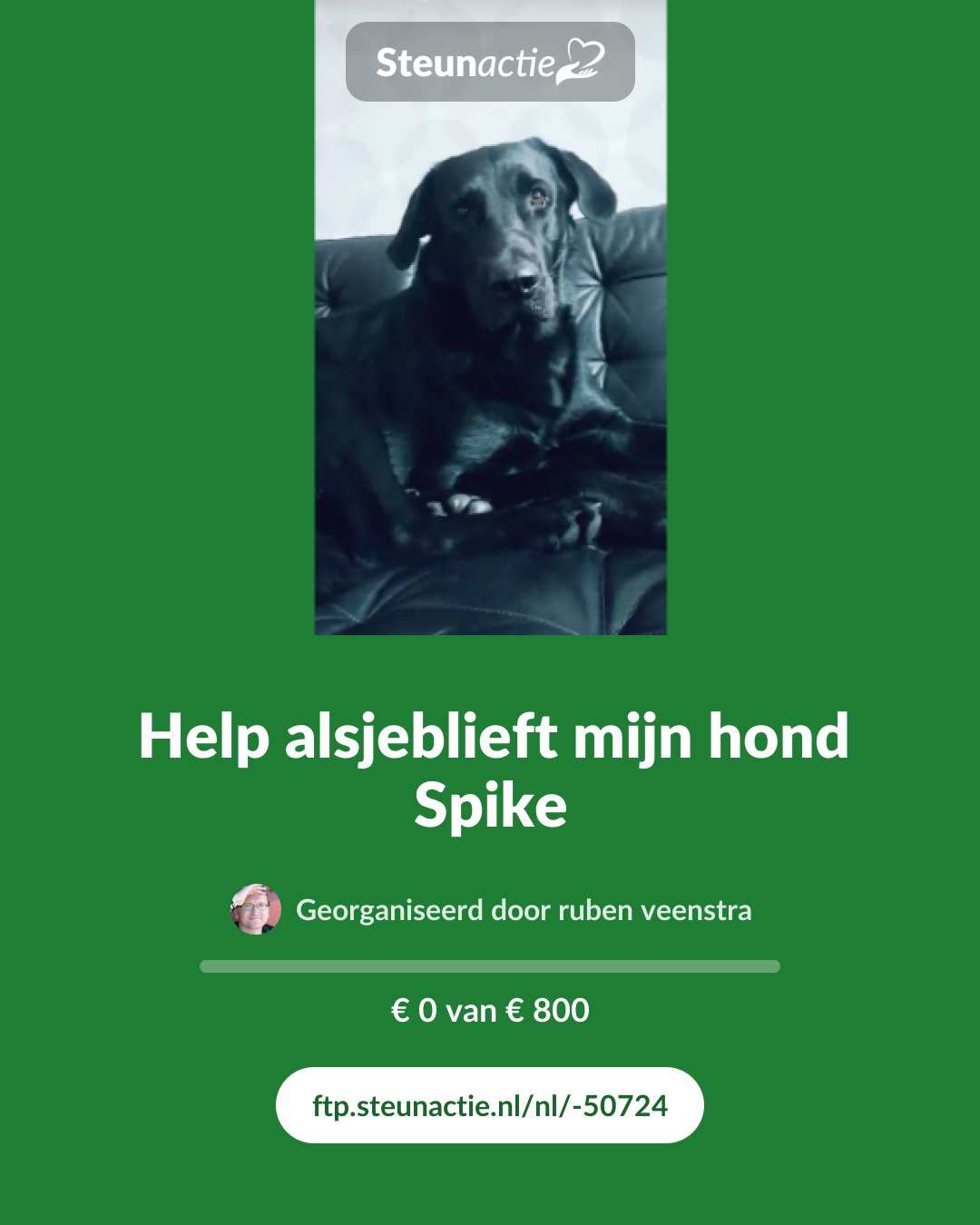 Voorbeeld van de afbeelding