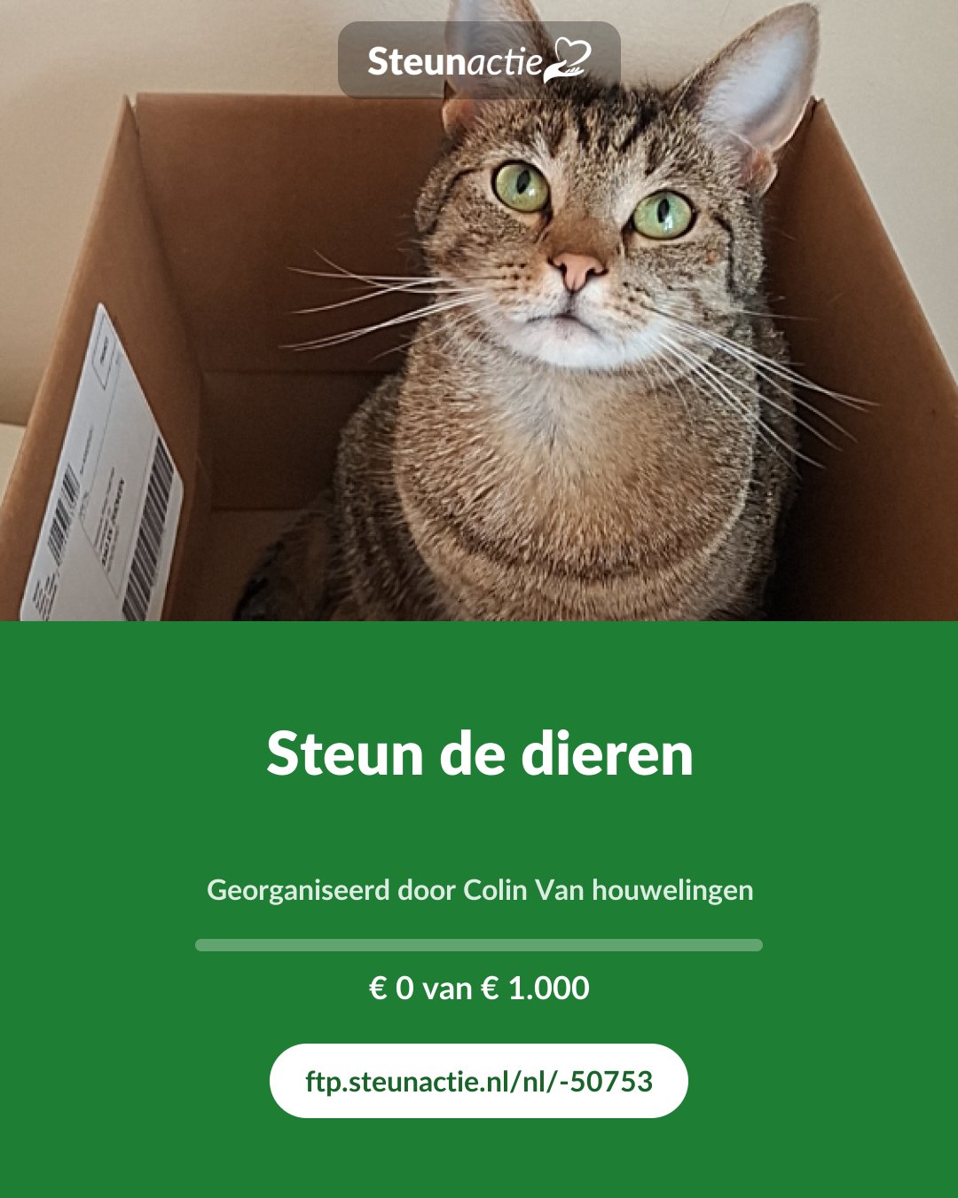 Voorbeeld van de afbeelding