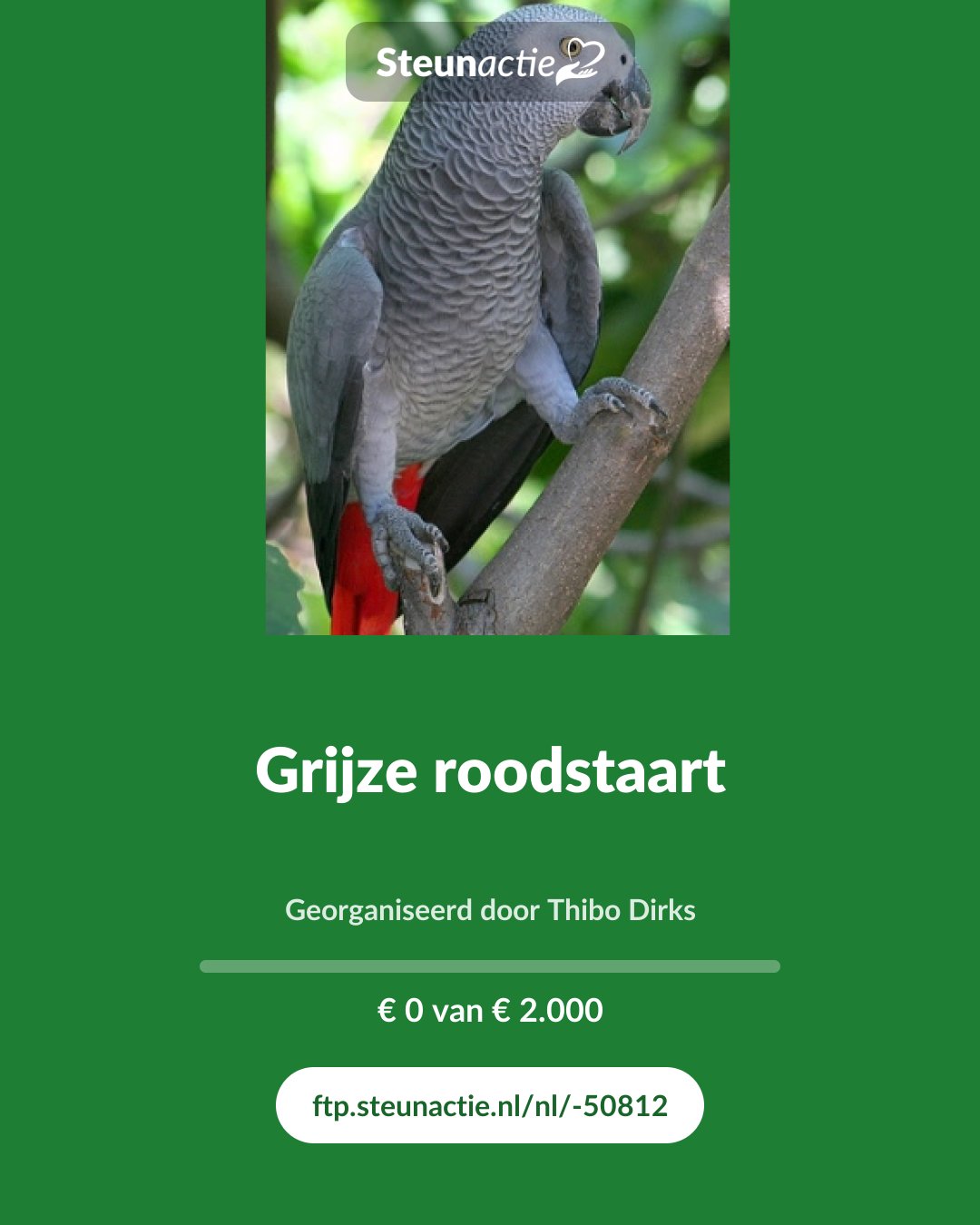 Voorbeeld van de afbeelding