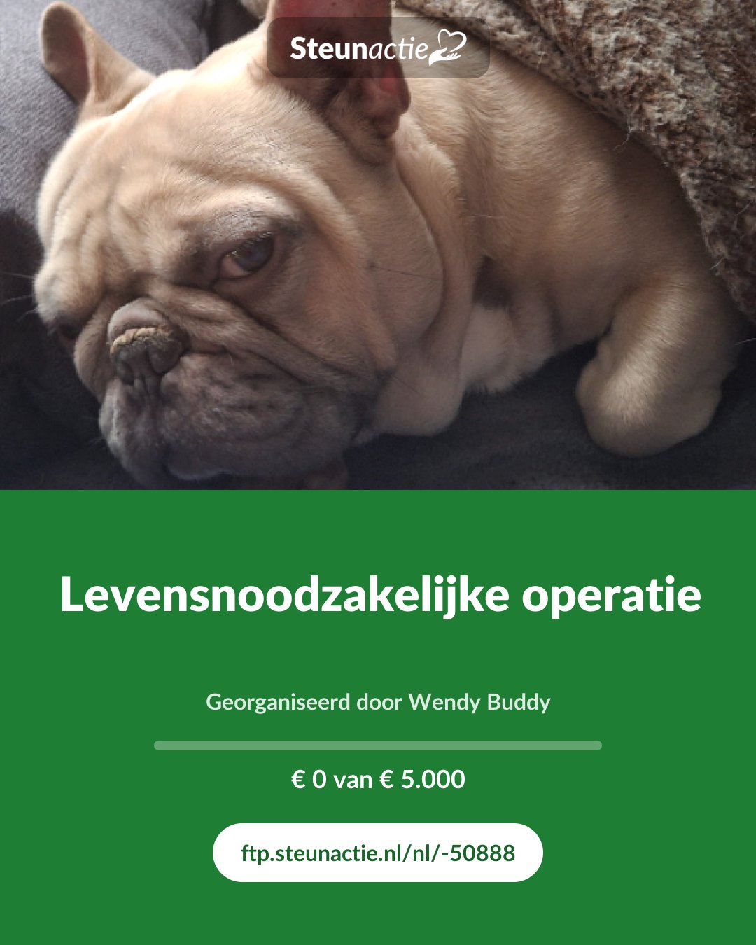 Voorbeeld van de afbeelding