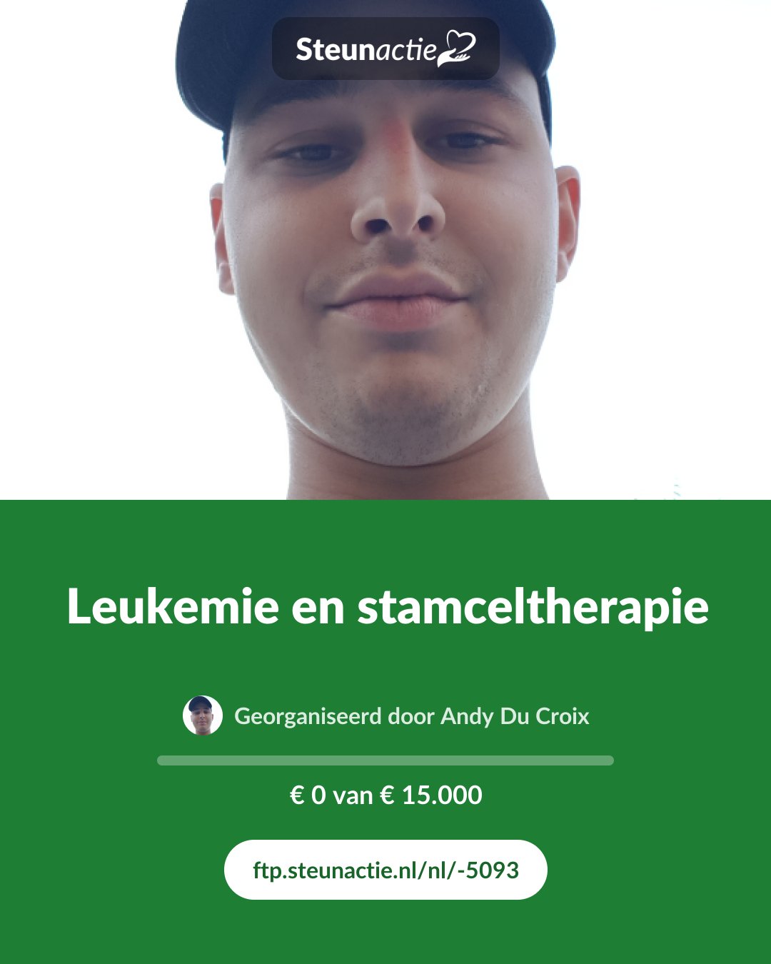 Voorbeeld van de afbeelding