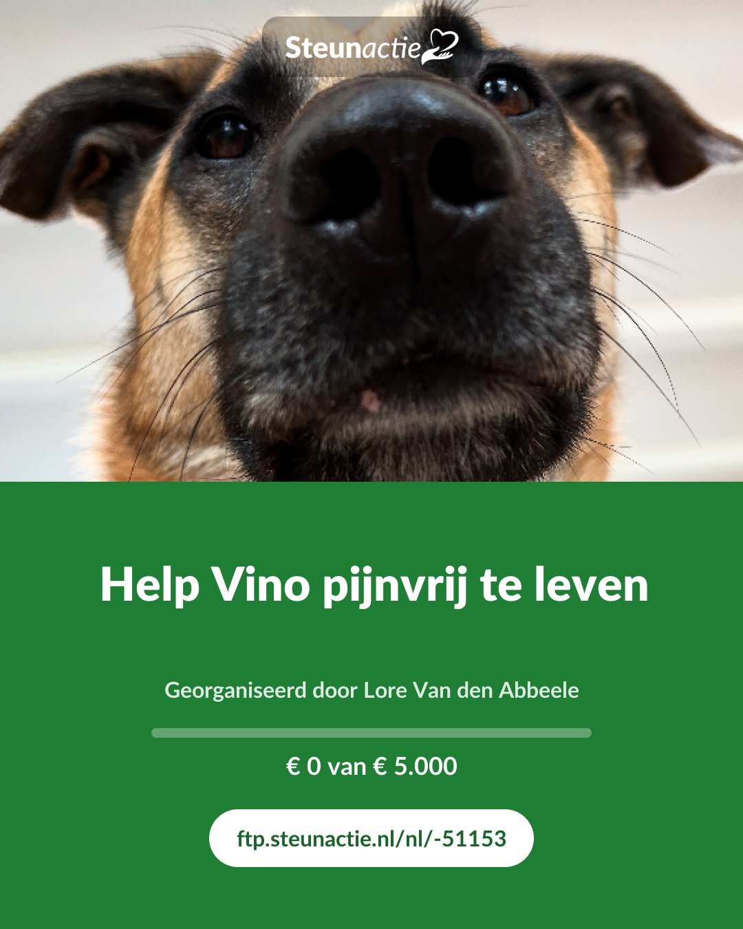 Voorbeeld van de afbeelding