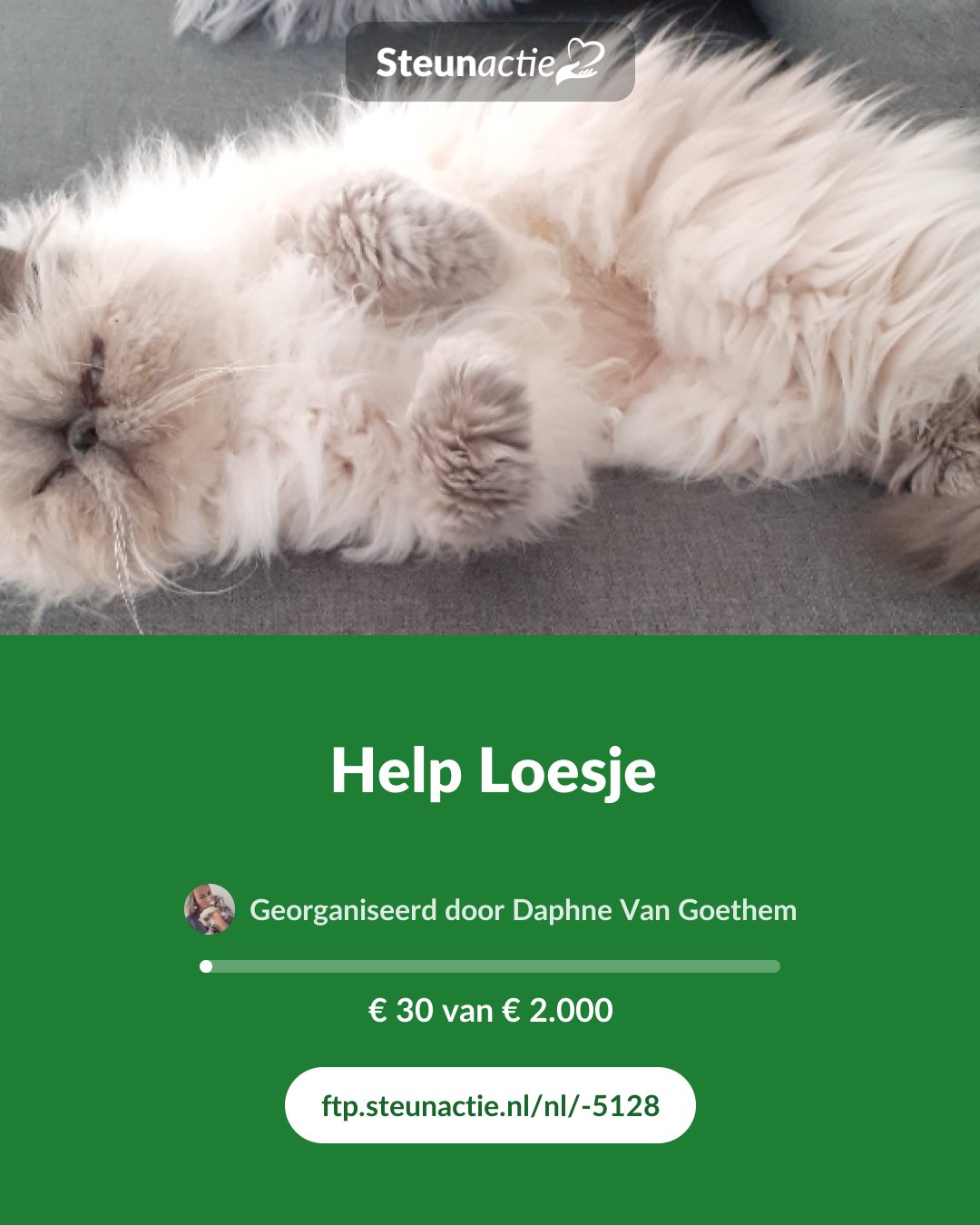 Voorbeeld van de afbeelding