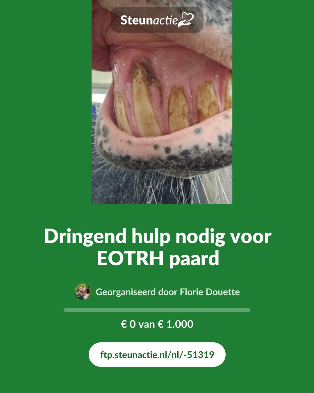 Voorbeeld van de afbeelding