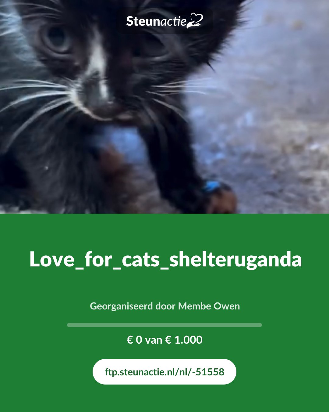 Voorbeeld van de afbeelding