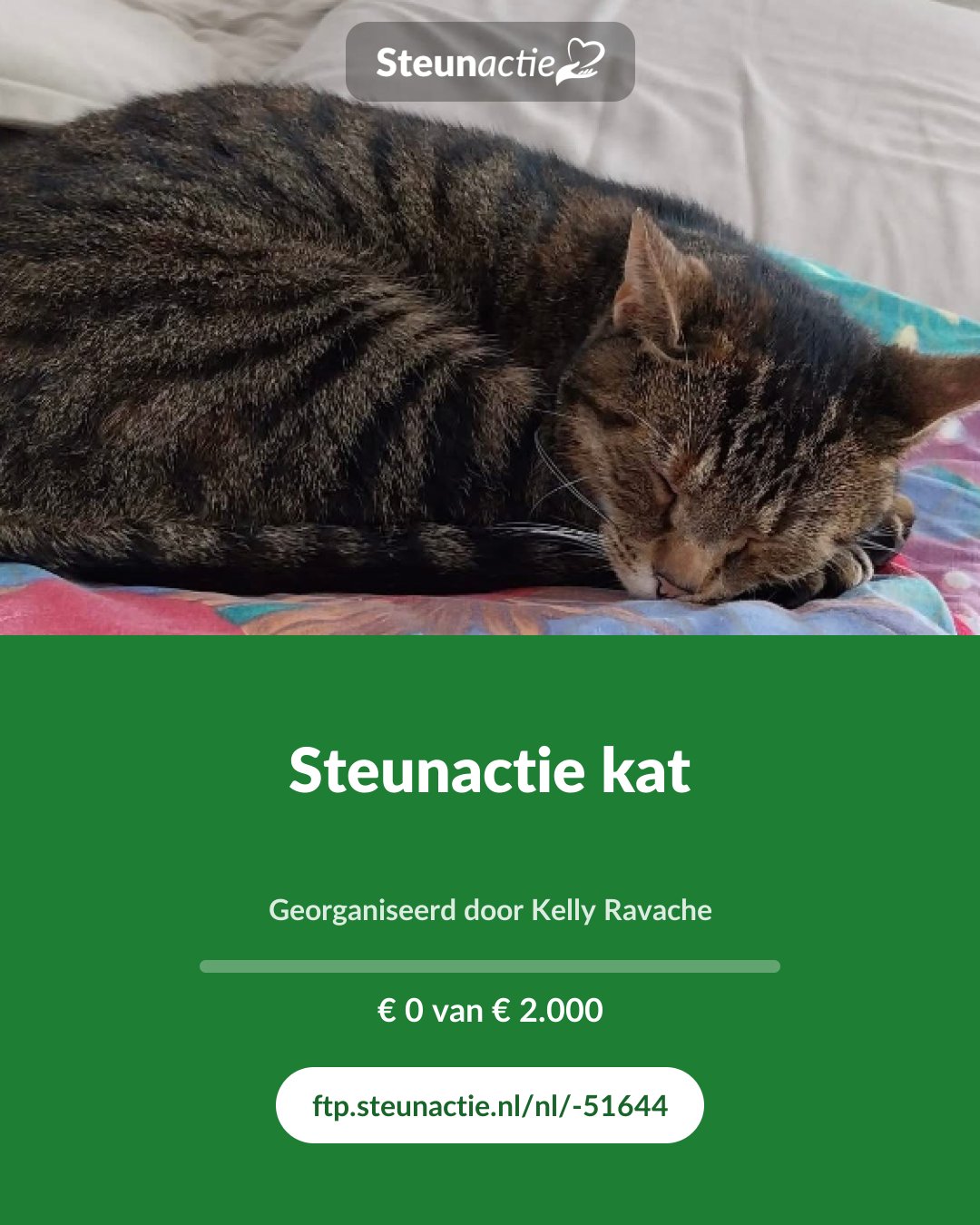Voorbeeld van de afbeelding
