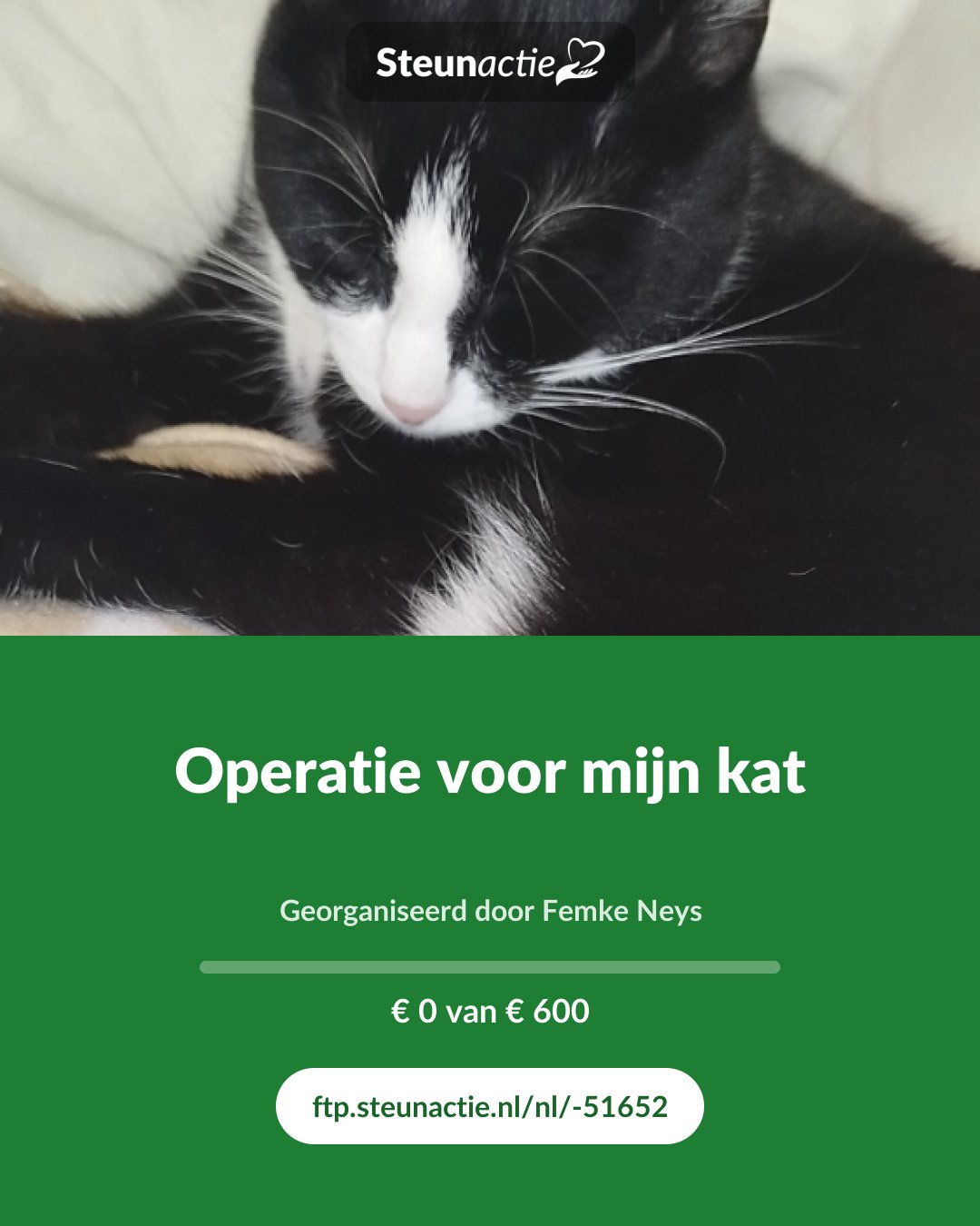 Voorbeeld van de afbeelding