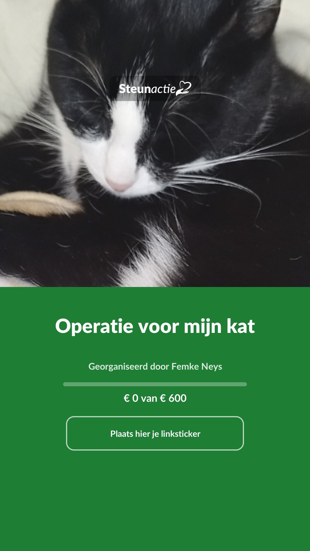 Voorbeeld van de afbeelding