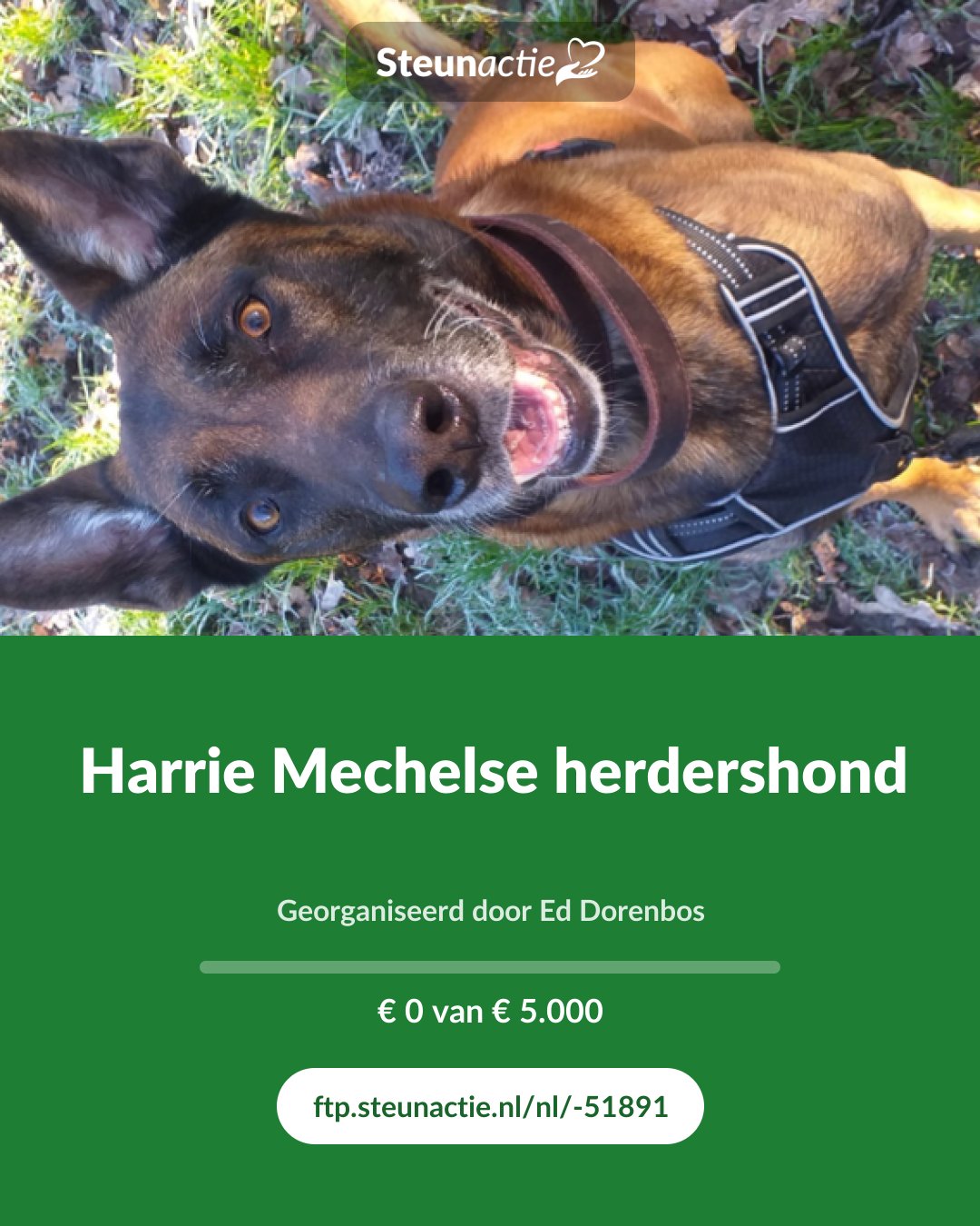 Voorbeeld van de afbeelding