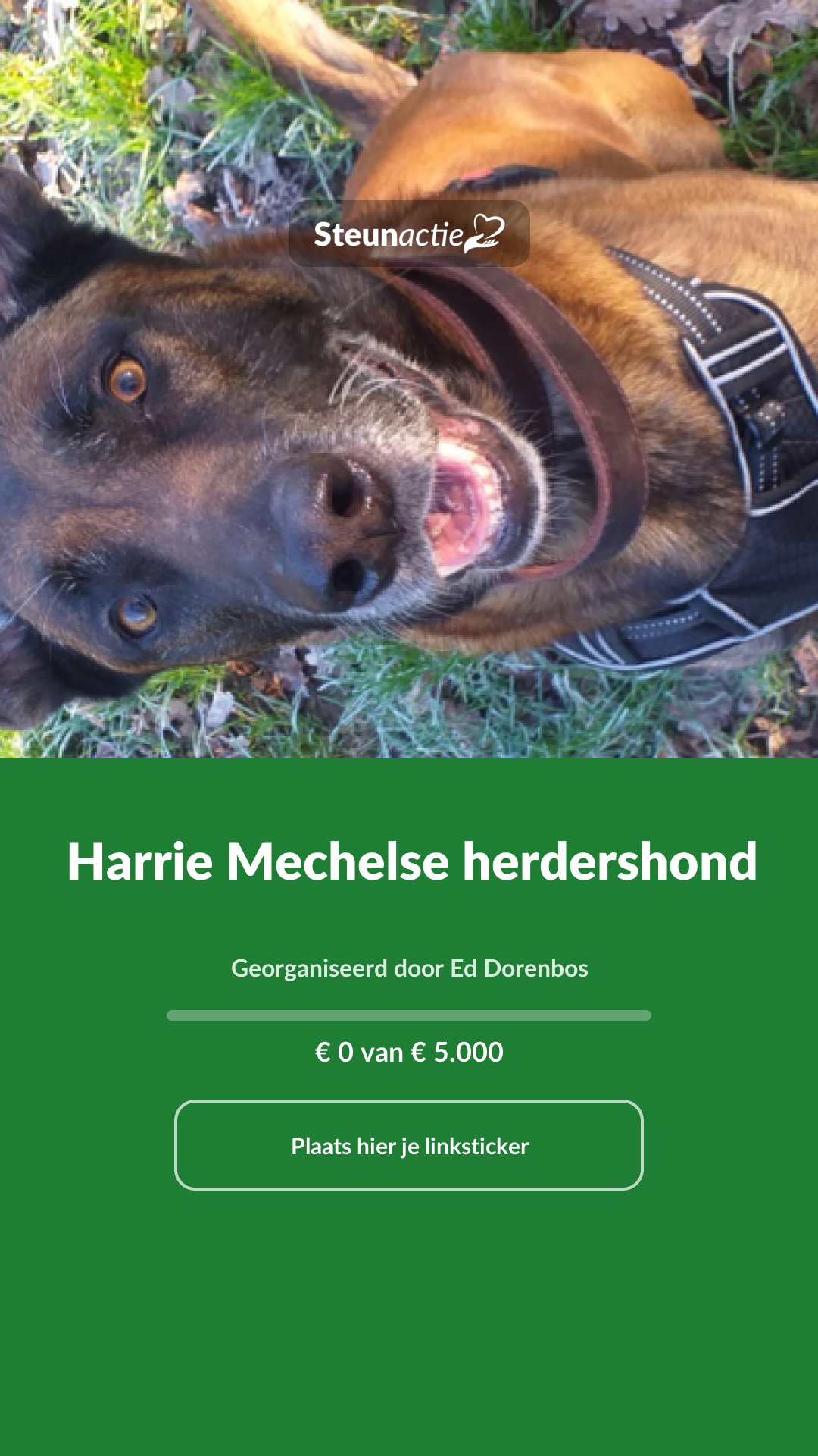 Voorbeeld van de afbeelding