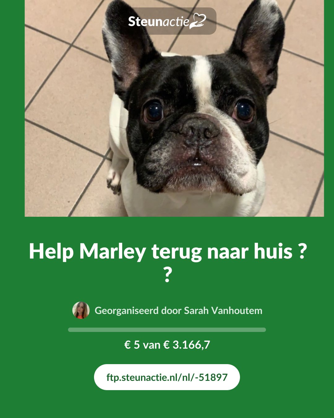 Voorbeeld van de afbeelding