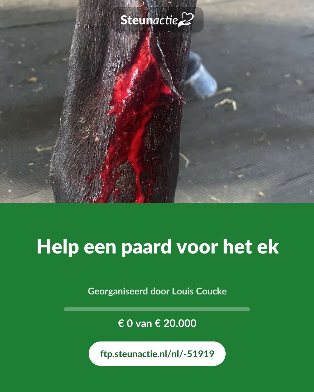 Voorbeeld van de afbeelding