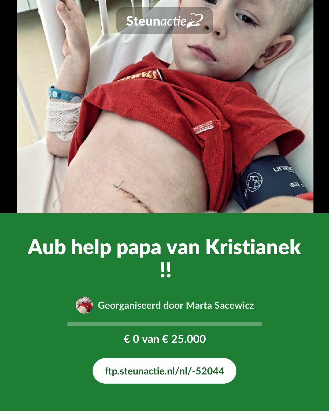 Voorbeeld van de afbeelding