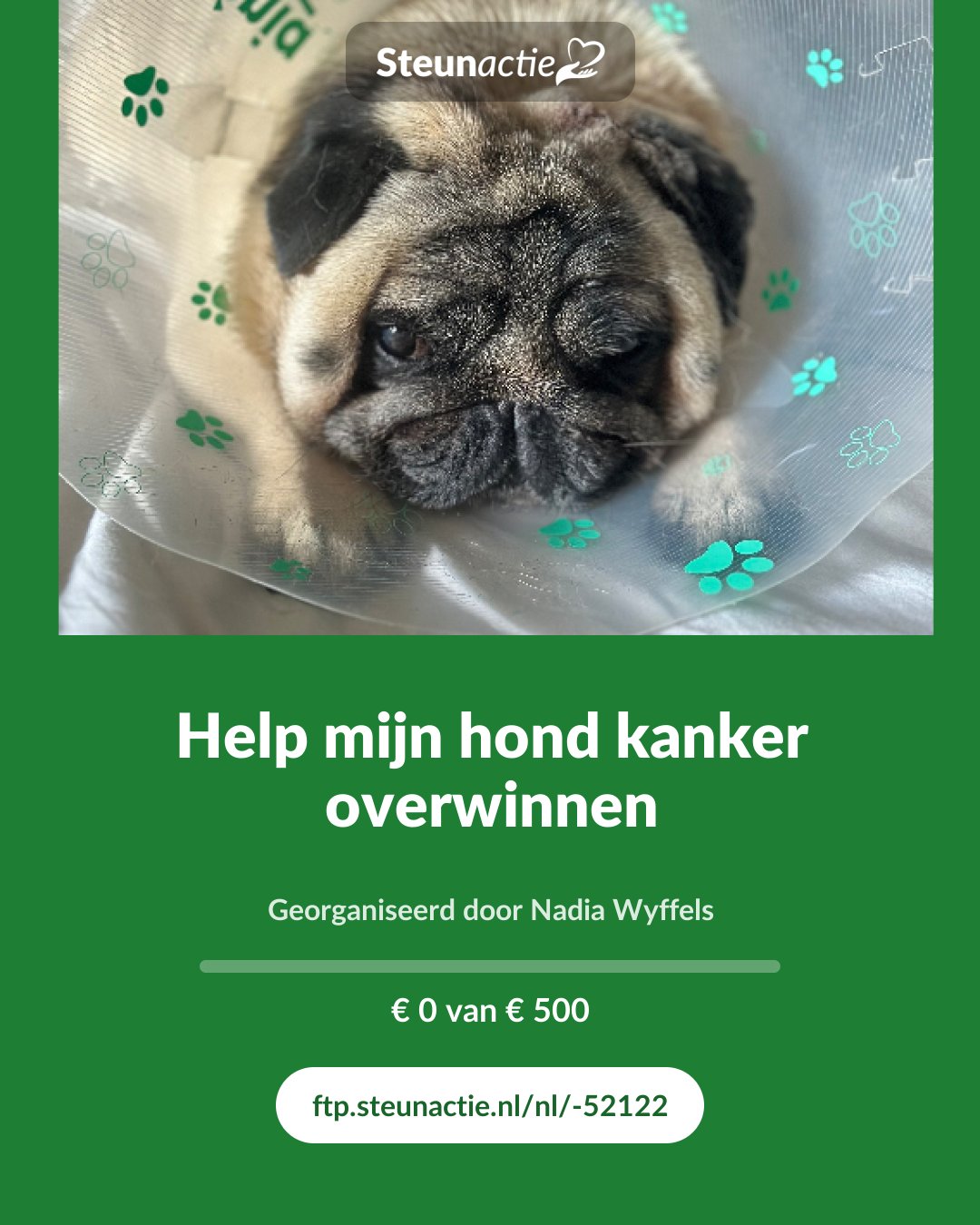 Voorbeeld van de afbeelding