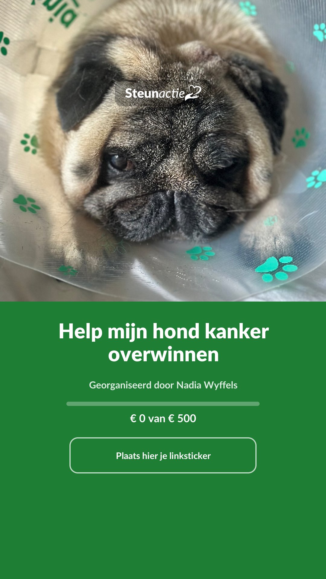 Voorbeeld van de afbeelding