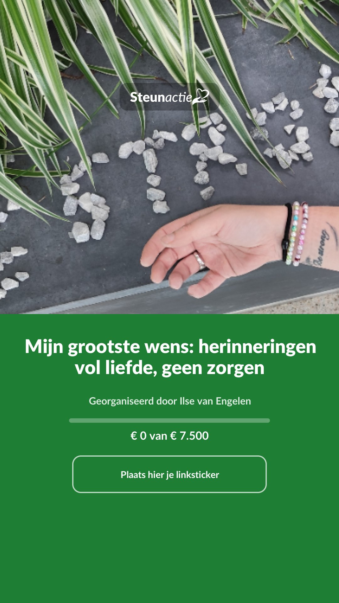 Voorbeeld van de afbeelding