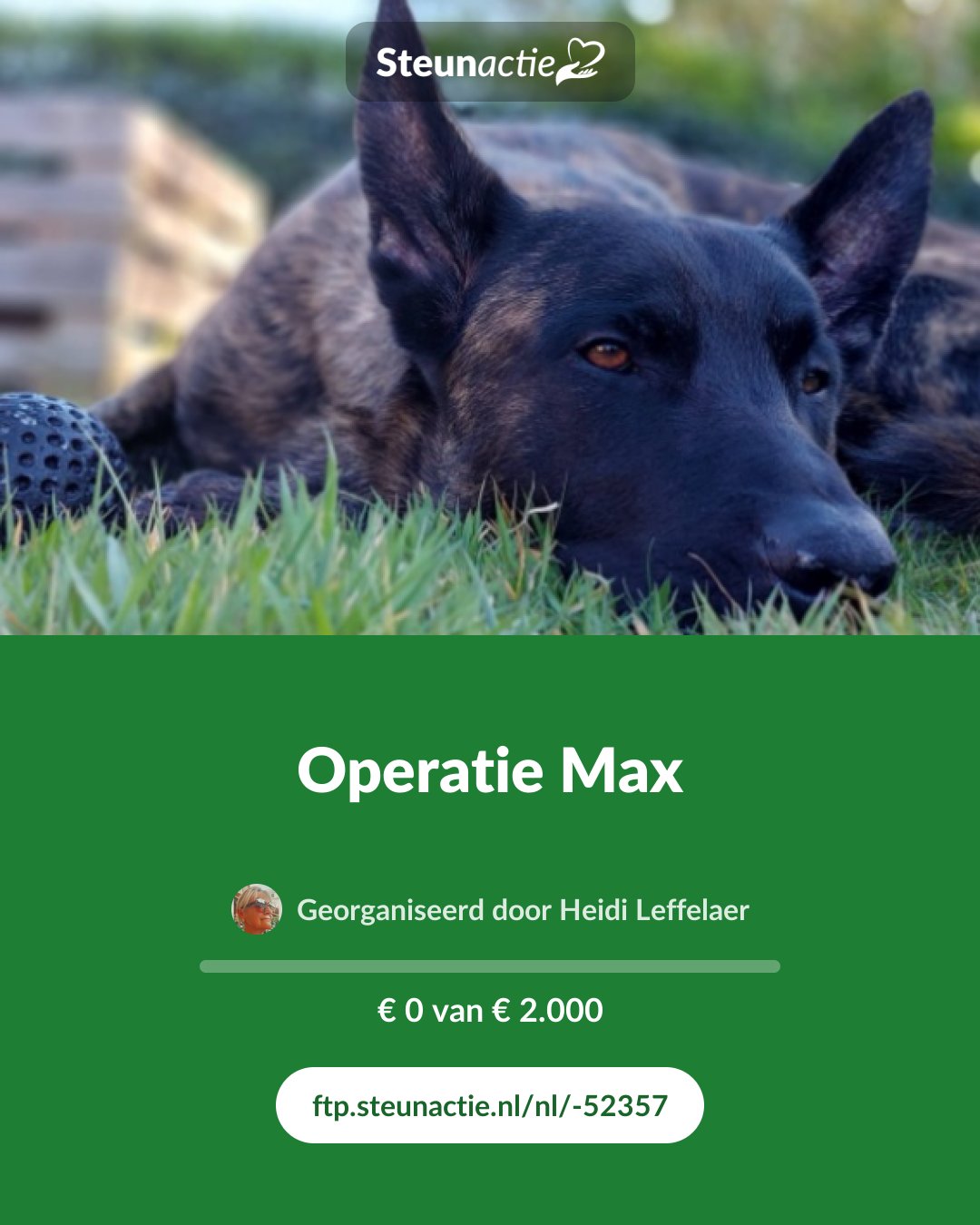 Voorbeeld van de afbeelding