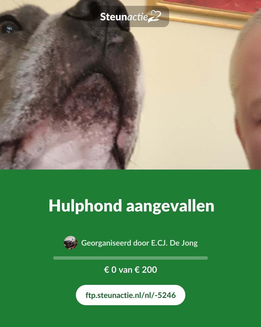 Voorbeeld van de afbeelding