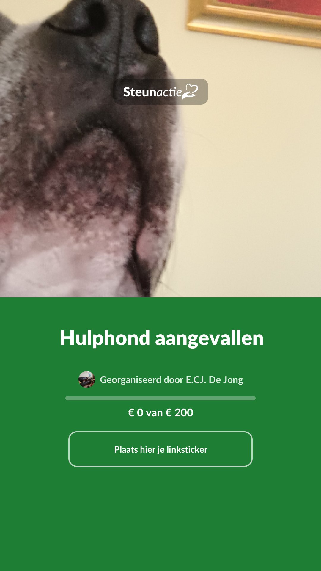 Voorbeeld van de afbeelding