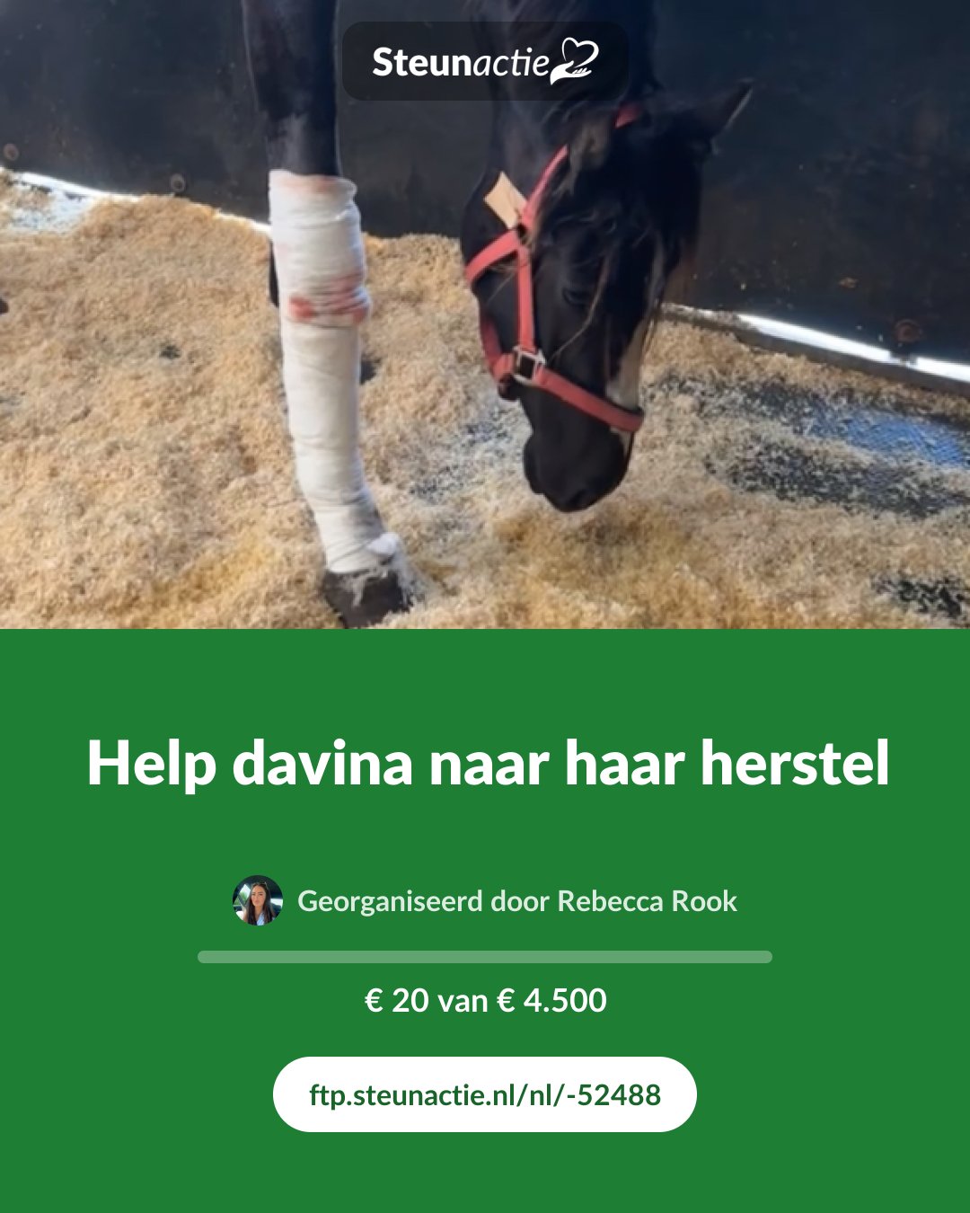 Voorbeeld van de afbeelding
